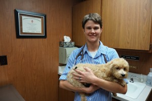 Dr. Jordy Waller from Spring Harbor Animal Hospital. Photo credits go to Zhejun Wang.